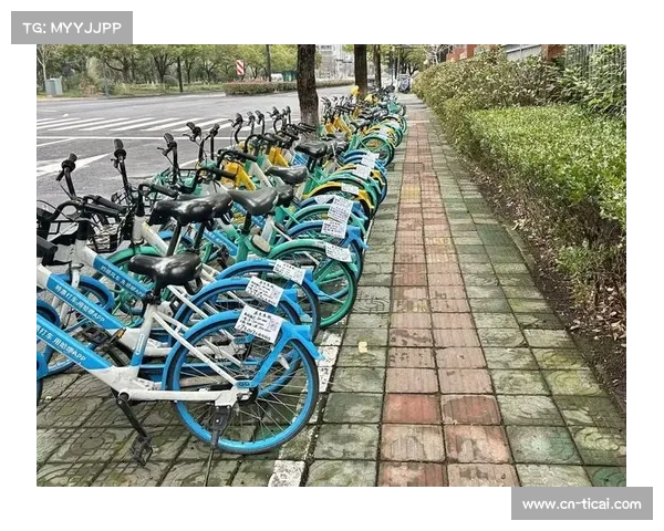 天津大爷组队骑共享单车游滨海新区,创吉尼斯最长队列纪录